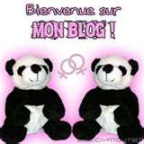 bonjour